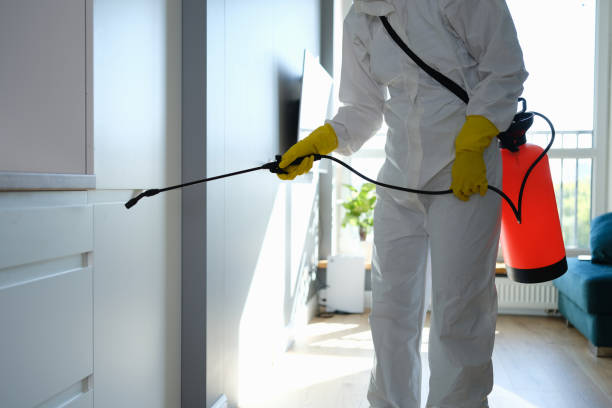 Best Mold Removal for HVAC Installations  in Myrtle Grove, NC